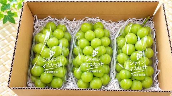 【シャインマスカット】２ｋｇ箱（３房前後）山梨県勝沼産10月～11月初旬発送予定。【送料無料】