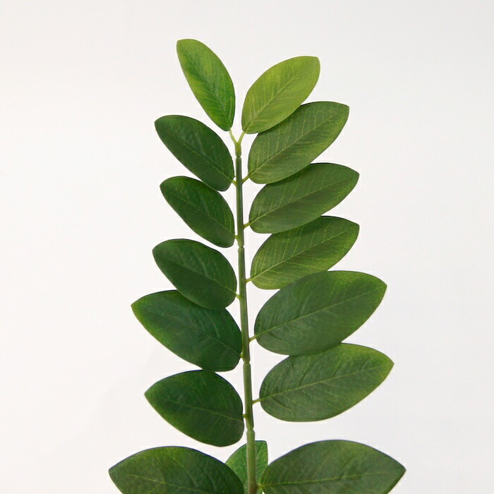 観葉植物 造花 ザミオクルカス BROWN 全高約70cm 卓上・小型 フェイクグリーン 本物そっくり おしゃれ インテリア 人工観葉植物 アーティフィシャルグリーン オフィス 店舗 ホテル 開店祝い 室内 ミニ ザミフォーリア 多肉 フェイク