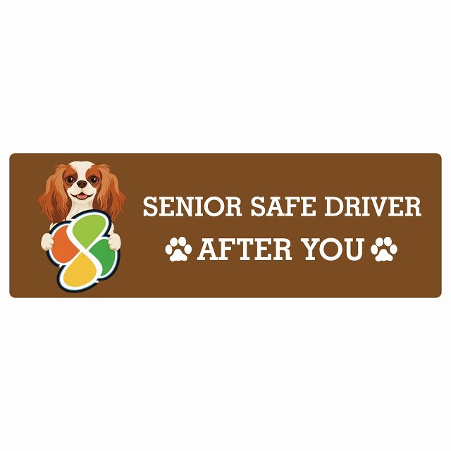 カーサイン 高齢者マーク SENIOR SAFE DRIVER キャバリアキングチャールズスパニエル ステッカー シール 長方形 15x5cm 肉球 日本製 車