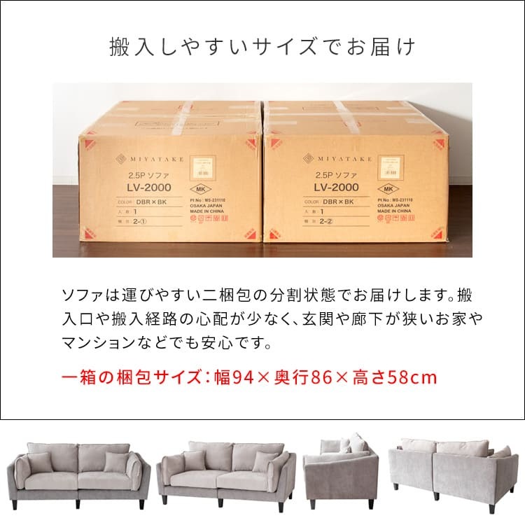 ソファ 座椅子 二人掛けポケットコイルファブリック バイカラーデザイン 2.5P メドゥレ ポケットコイル ファブリック バイカラー 二人掛け sofa コンパクト リラックス 快適 天然木脚