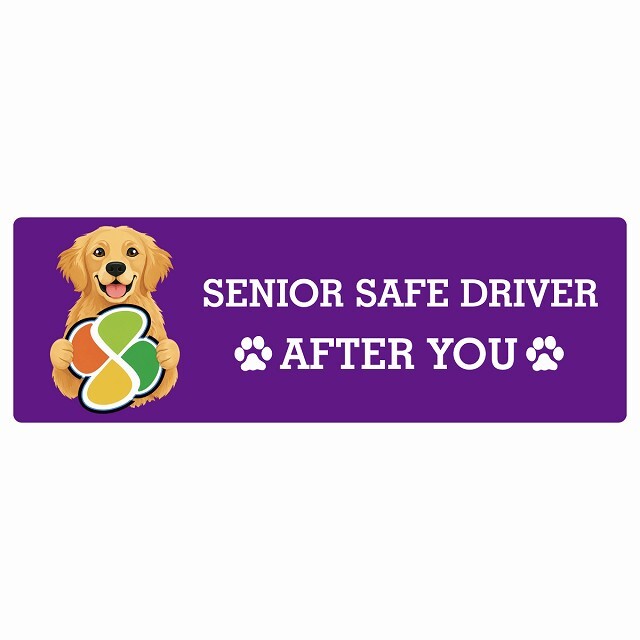カーサイン 高齢者マーク SENIOR SAFE DRIVER ゴールデンレトリバー ステッカー シール 長方形 20x6.7cm 肉球 日本製 車
