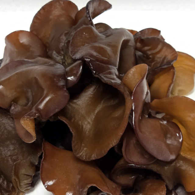 北海道産 朝採り生きくらげ 1kg 菌床栽培・無農薬 ぷりぷり肉質 送料無料 ※沖縄は送料別途加算