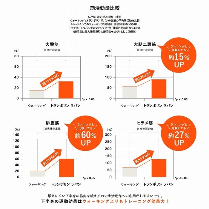 \クーポン配布中/ トレーニング用品 エクササイズ グッズ ミズノ mizuno トランポリン ラパン TRAMPOLINE lapin 体幹 フィットネス 室内用 宅トレ 全身運動 日本製 グレー ブラウン カバー洗濯可 折りたたみ クッション です