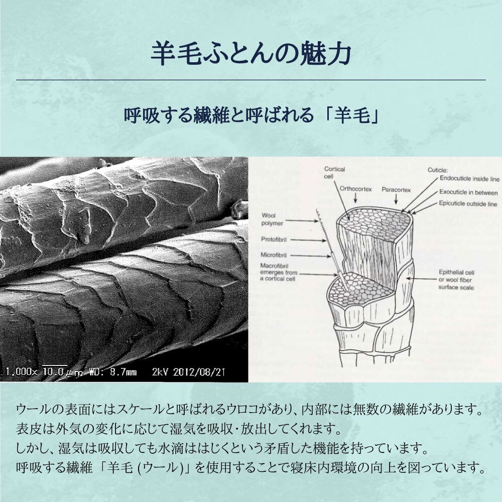 極厚多重層 羊毛 敷布団 マルハチ 丸八布団 丸八真綿 3層 ライト シングル 布団 マット ベッド 敷き 敷き布団 除湿 袋 腰 羊毛敷布団 しきふとん ホテル 旅館 愛用 厚い 厚手 おすすめ 人気 大人気 寝具 ふかふか 厚め 羊毛敷き布団 丸八 受発注