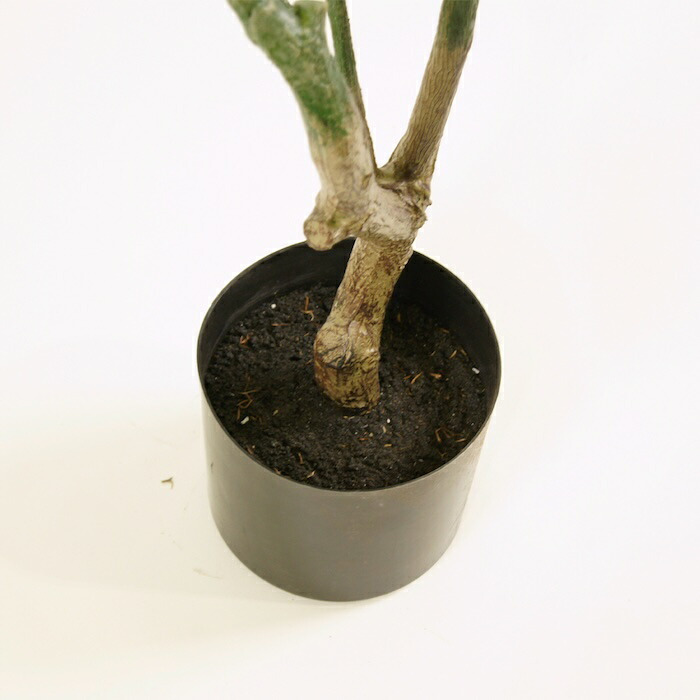 観葉植物 造花 パキラ BROWN 全高約175cm 大型 フェイクグリーン 高級 本物そっくり リアル おしゃれ インテリア 人工観葉植物 アーティフィシャルグリーン オフィス 店舗 ホテル 開店祝い 新築祝い 室内 リビング 玄関 風水 フェイク