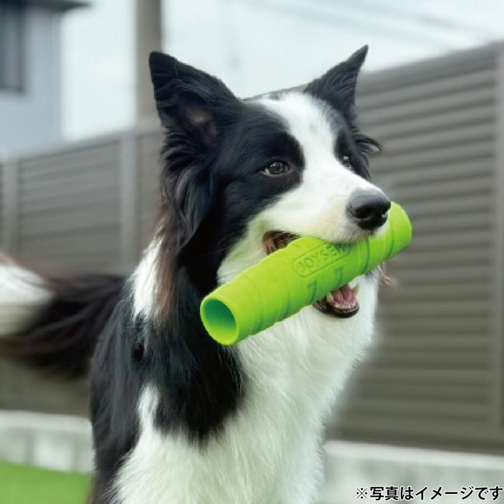 ジョイサー JOYSER ホールスティック 犬用おもちゃ ライム