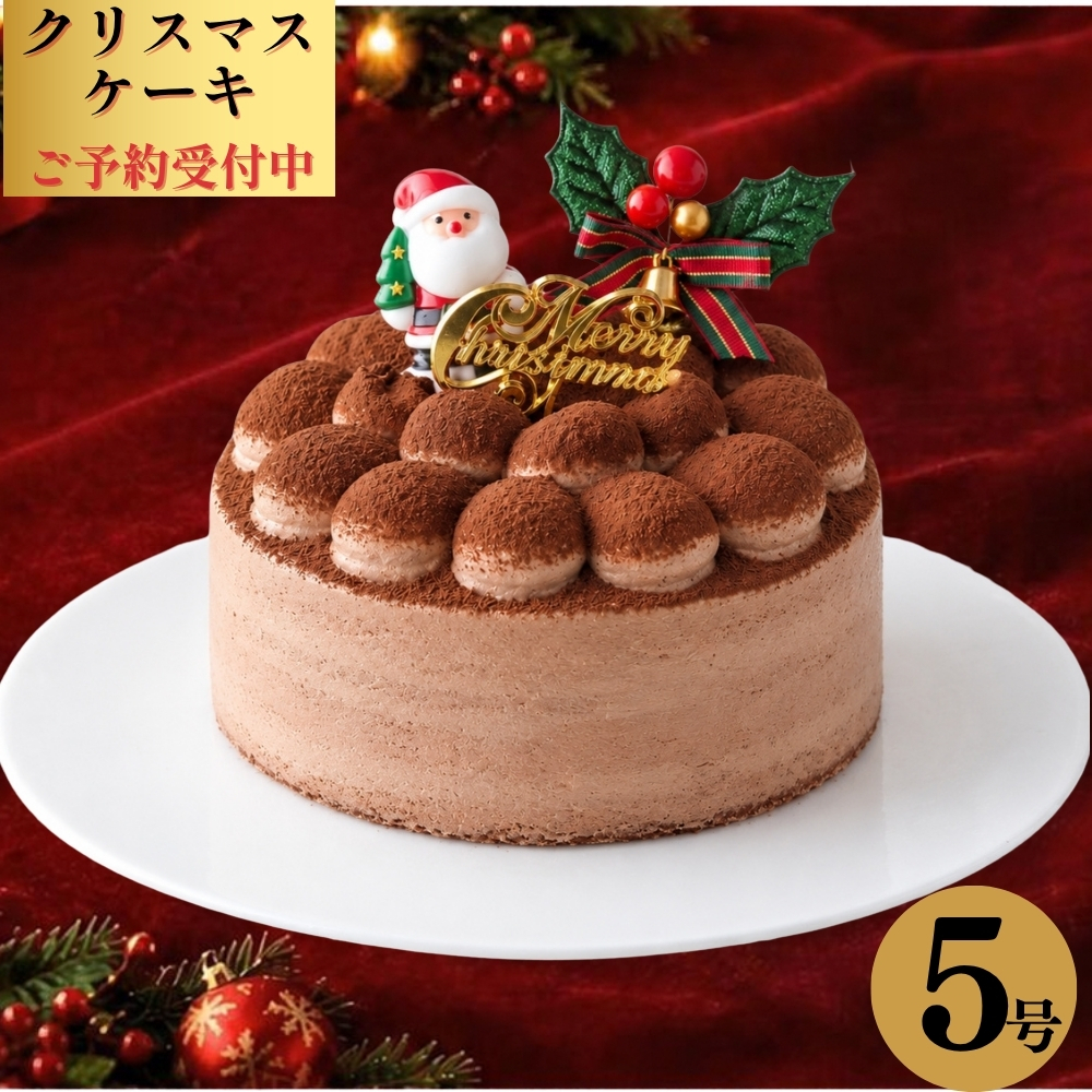 【予約受付中】クリスマス ケーキ チョコ チョコレート ケーキ Xmas 2026 ガトーショコラ 5号 4～6人 送料無料 クリスマス プレゼント  (x21005)