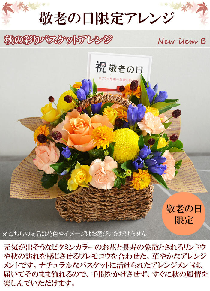 敬老の日限定 秋の彩りバスケットアレンジ 敬老の日 ギフト 花 プレゼント フラワーアレンジメント 敬老の日ギフト