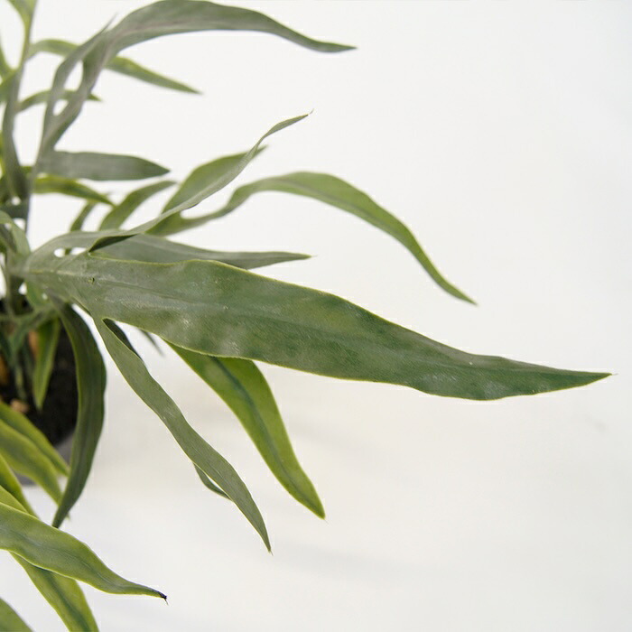 観葉植物 造花 フレボディウム BROWN 全高約65cm 卓上・小型 フェイクグリーン 本物そっくり おしゃれ インテリア 人工観葉植物 アーティフィシャルグリーン オフィス 店舗 ホテル 開店祝い 室内 ミニ ブルースター シダ フェイク