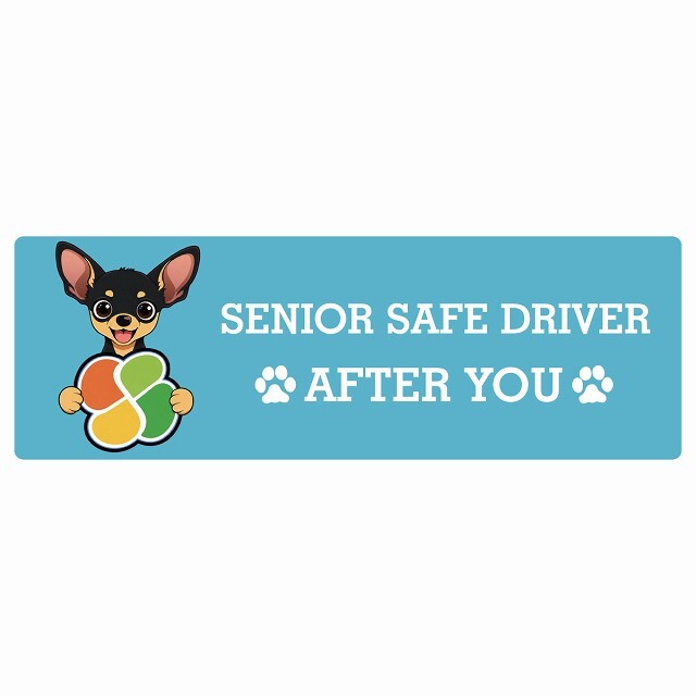 カーサイン 高齢者マーク SENIOR SAFE DRIVER スムースコートチワワ ステッカー シール 長方形 15x5cm 肉球 日本製 車