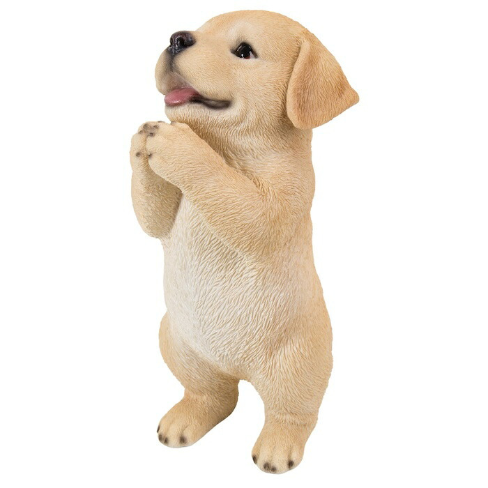 置物 犬 おねだりラブラドールレトリバー 高さ21.4cm woobia ウービア いぬ リアル かわいい おしゃれ 玄関 インテリア オブジェ ガーデン ラブラドール 動物 癒し 棚 北欧 プレゼント ギフト 新築祝い 犬好き