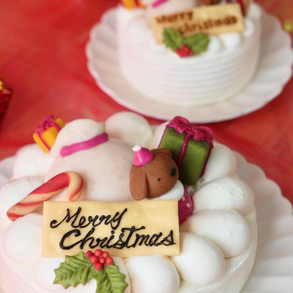クリスマス【おさぼりサンタ（レギュラー）】