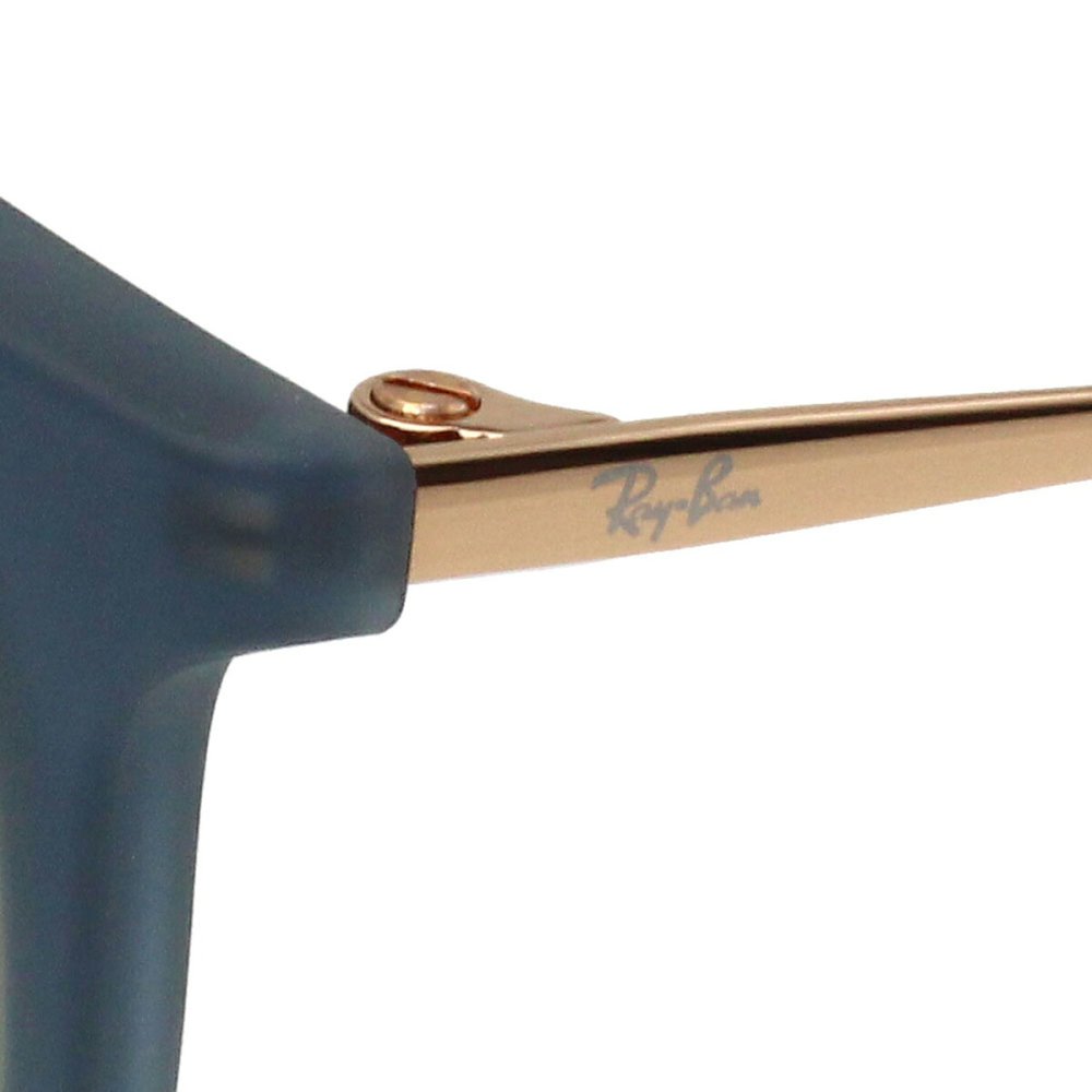 レイバン Ray-Ban サングラス エリカ ローブリッジフィット UVカット アイウェア ボストン ウェリントン 0RB4171F 681311 57 メンズ レディース ユニセックス ラバーブルー+グレーグラデーション 海外正規品