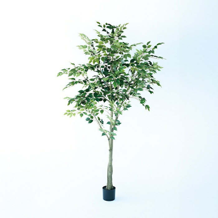 観葉植物 造花 ベンジャミン BROWN 全高約210cm 大型 フェイクグリーン 高級 本物そっくり リアル おしゃれ インテリア 人工観葉植物 アーティフィシャルグリーン 自然樹形 オフィス 店舗 ホテル 開店祝い 室内 リビング 玄関 風水 ベンジャミナ
