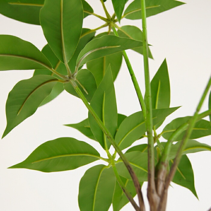 観葉植物 造花 ツピタンサス BROWN 全高約150cm 大型 フェイクグリーン 本物そっくり おしゃれ インテリア 人工観葉植物 アーティフィシャルグリーン オフィス 店舗 ホテル 開店祝い 室内 シェフレラ フェイク ツピダンサス