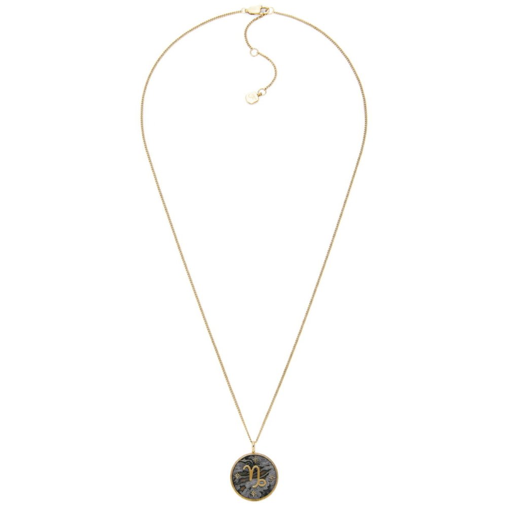 フォッシル FOSSIL Sutton アクセサリー ネックレス ペンダント やぎ座 レディース JF04847710