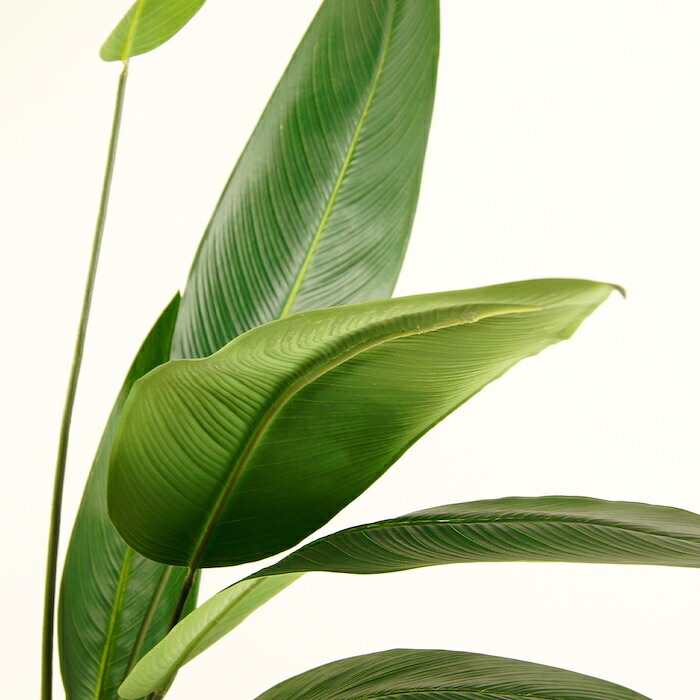 観葉植物 造花 カンナ BROWN 全高約195cm 大型 フェイクグリーン 高級 本物そっくり リアル おしゃれ インテリア 人工観葉植物 アーティフィシャルグリーン 南国 リゾート オフィス 店舗 ホテル 開店祝い 室内 リビング 玄関 風水 フェイク