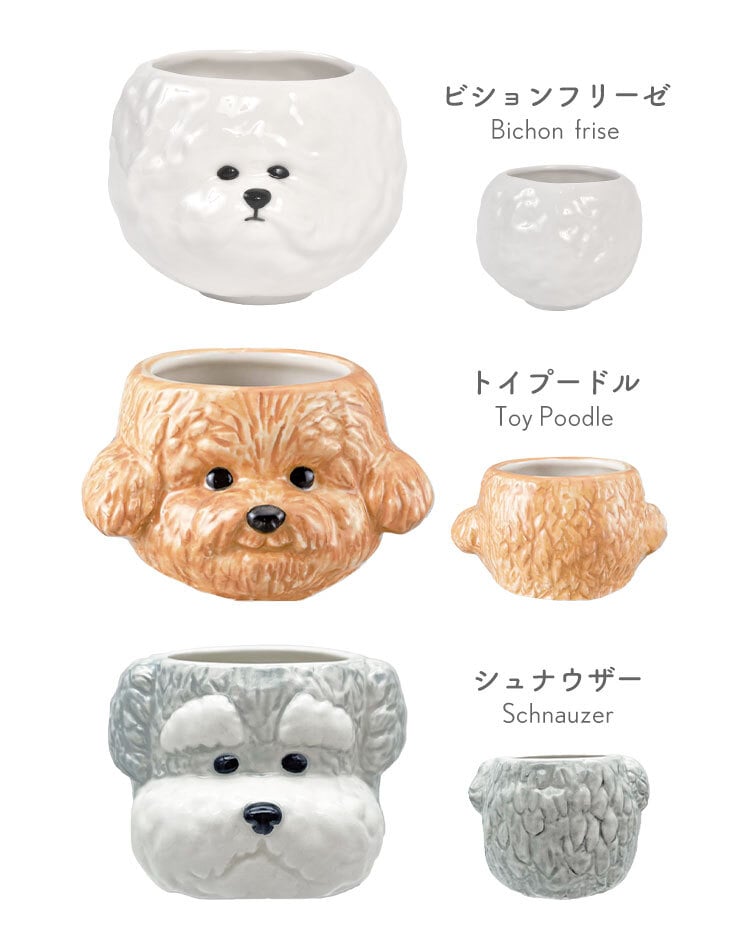 お茶碗 ビションフリーゼ トイプードル シュナウザー 茶碗 ご飯茶碗 犬 食器 飯碗 かわいい 陶器 磁器 SNS映え 写真映え おしゃれ 動物 アニマル 白ごはん ご飯 いぬ 食器 犬好き 雑貨 犬グッズ 愛犬家 キッチン 癒し ユニーク おもしろ 可愛い 誕生日 プレゼント ギフト