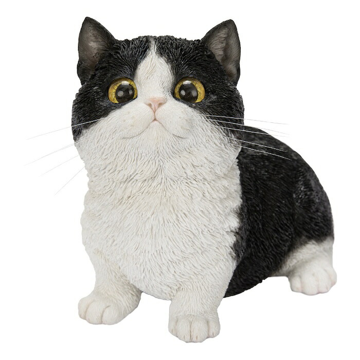 置物 猫 見上げるマンチカン 黒白 幅16cm woobia ウービア リアル かわいい おしゃれ 玄関 インテリア オブジェ ガーデン マンチカン 白黒 ハチワレ ネコ 動物 アニマル 癒し 棚 北欧 リビング プレゼント ギフト 新築祝い 猫好き