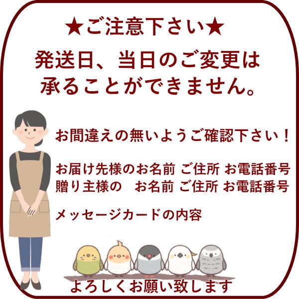 【ハロウィンのラッピングのまま飾れる花束02】スタンディングブーケ 　即日発送　レビューを書いて送料無料　生花 花束 誕生日に 色を選んで 花はおまかせ花束（ブーケ）ラッピングのまま飾れる ラウンドタイプ 生花 花束 ブーケ プレゼント 父の日 誕生日 結婚祝い 記念日 お見舞 送別 新築祝い 母の日 敬老の日 ウエディング テーブル装花 御祝 出産 ホワイトデー お供え お中元 お歳暮