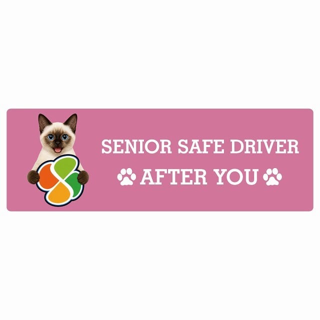 カーサイン 高齢者マーク SENIOR SAFE DRIVER スキフトイボブテイル ステッカー シール 長方形 20x6.7cm 肉球 日本製 車