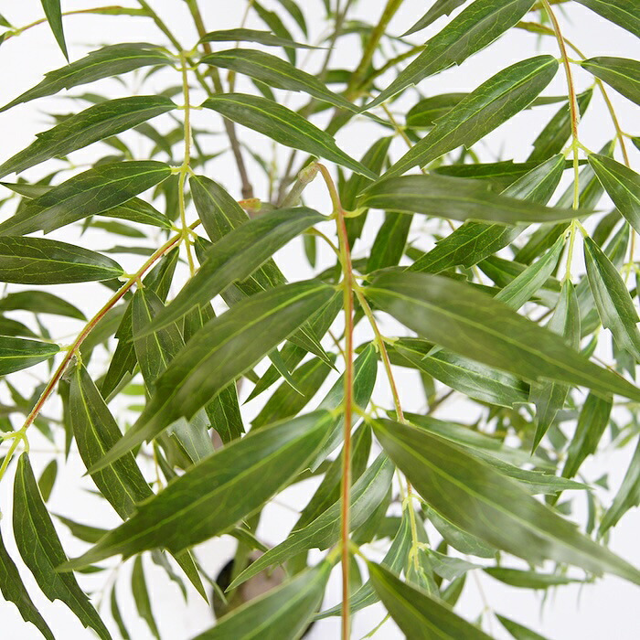 観葉植物 造花 マホニア コンフューサ BROWN 全高約150cm 大型 フェイクグリーン 本物そっくり おしゃれ インテリア 人工観葉植物 アーティフィシャルグリーン オフィス 店舗 ホテル 開店祝い 室内 ナリヒラヒイラギナンテン フェイク