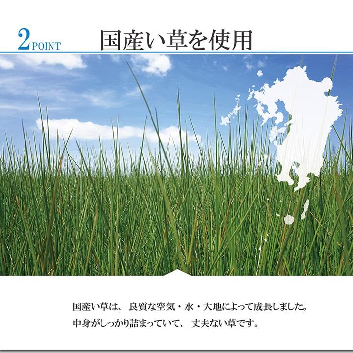 敷物 花ござ 国産 純国産 日本製 小林製薬 持続性抗菌剤 KOBA-GUARD 制菌 抗菌防臭  夏 い草 市松 モダン 江戸間2畳 約174×174cm