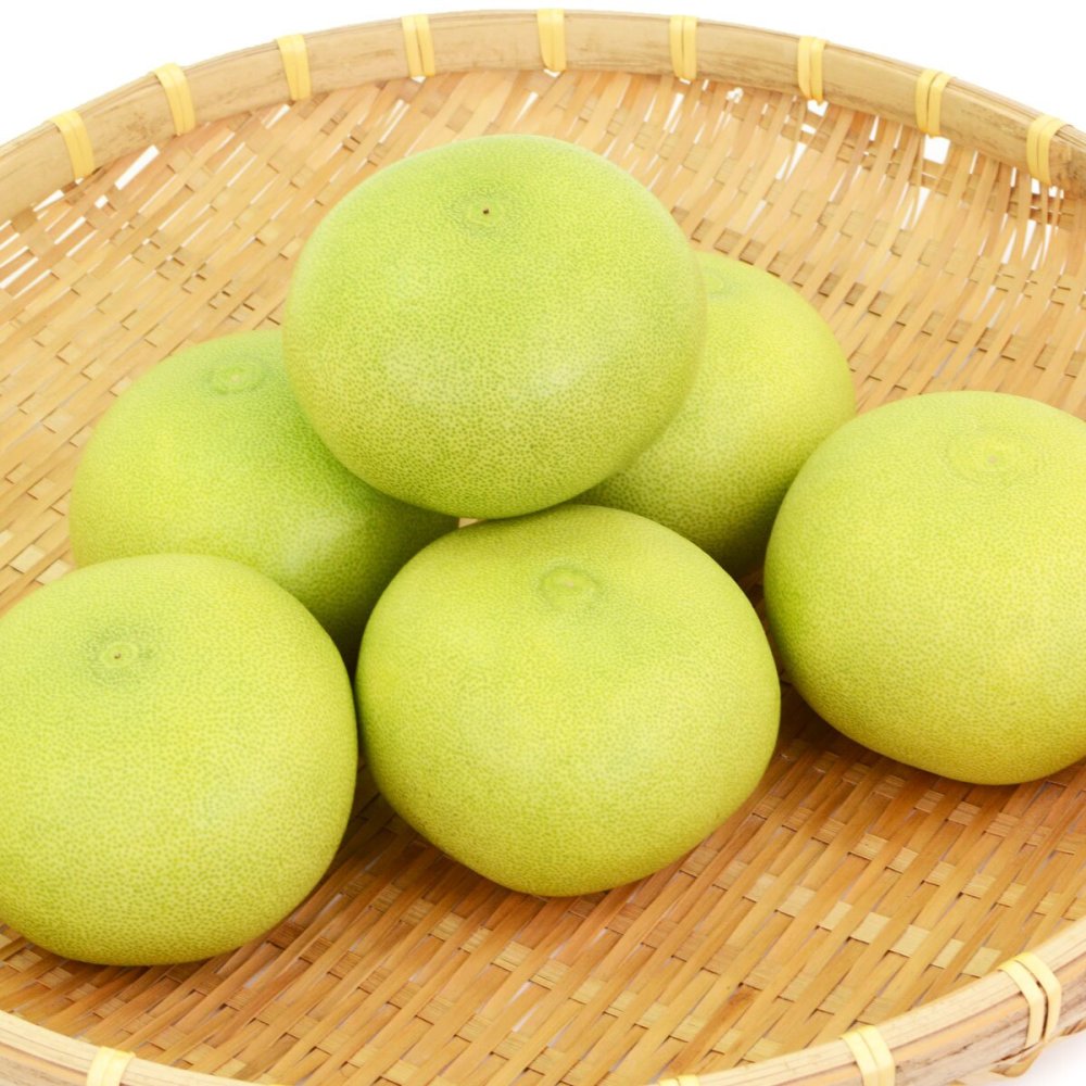 水晶文旦 生産農家直送 森農園 5～6玉 3kg 5kg 大玉 ご自宅 家庭用 秋文旦 早生ぶんたん 化粧箱入り 土佐市産 高知産 ハウス栽培 温室栽培 秋の味覚 高級フルーツ 柑橘 果物 産地直送 【送料無料】