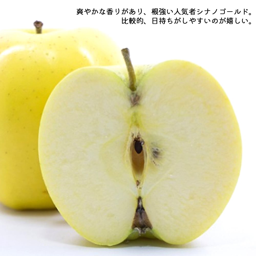 長野県産りんご3兄弟セット シナノスイート 秋映 シナノゴールド ご贈答 果物 フルーツ お取り寄せ 産地直送 【送料無料(一部地域除く)】