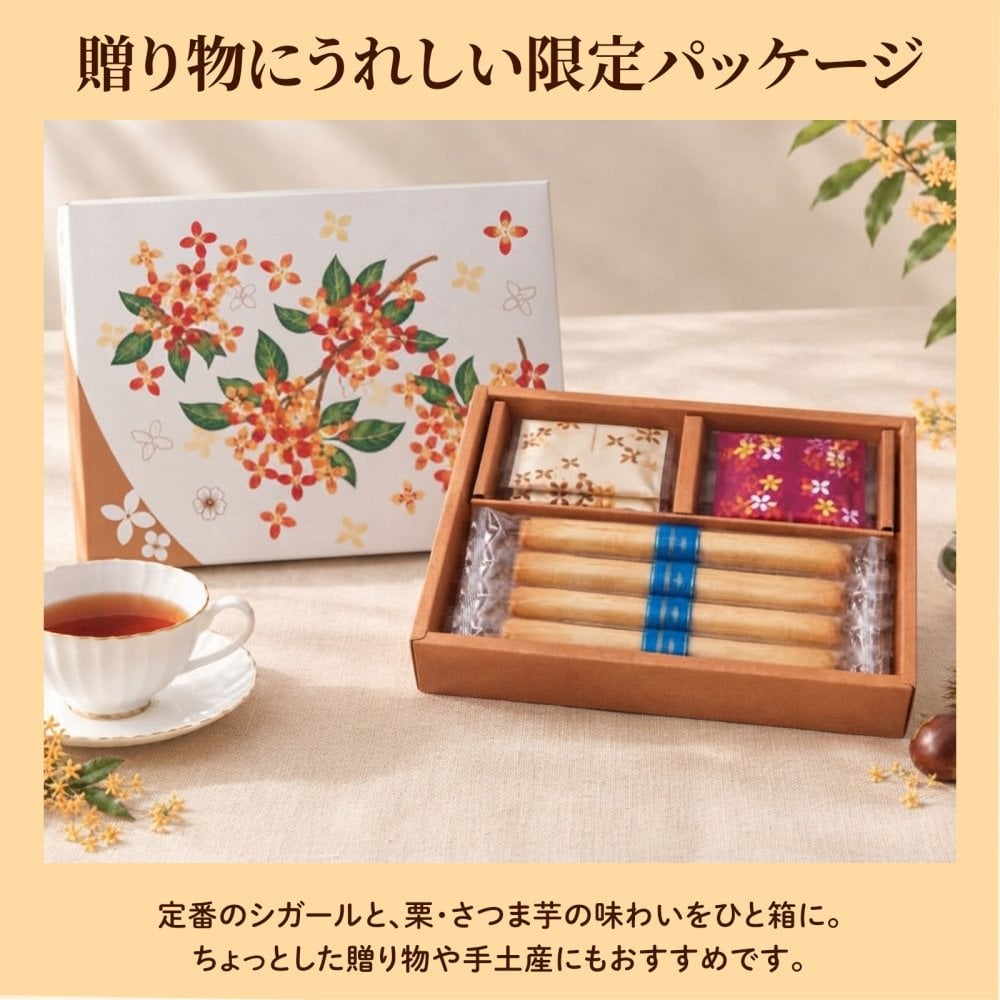 【特別熨斗対応】ヨックモック カドー ドゥ ロートンヌ 3種18個入 秋限定 ギフト プレゼント お菓子 焼き菓子 敬老の日 ハロウィン お菓子 スイーツ 焼き菓子