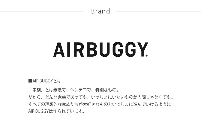 AIR BUGGY エアバギー eORGANIZER