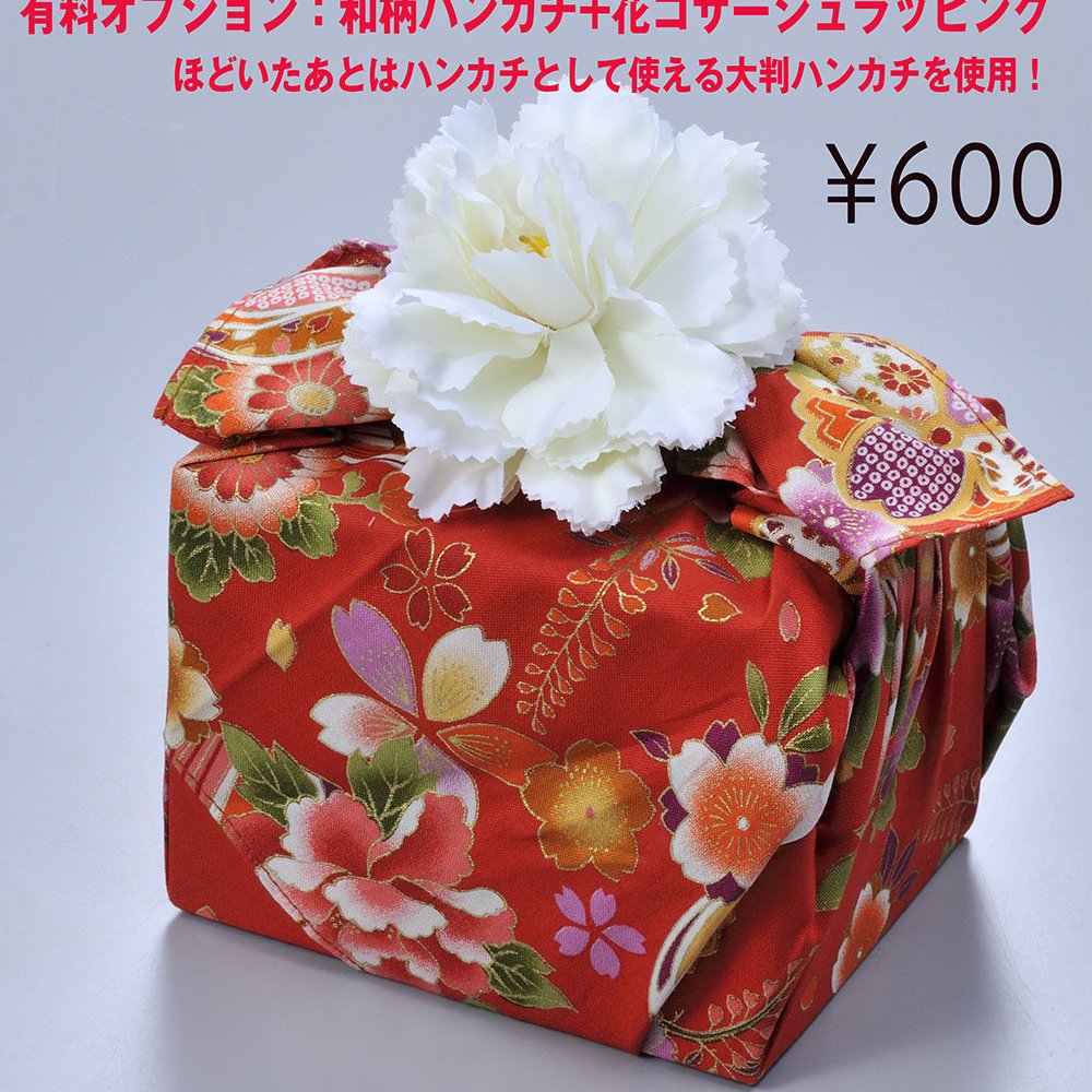 卒業 退職 【名入れギフト 陶器】有田焼　赤富士　フリーカップ