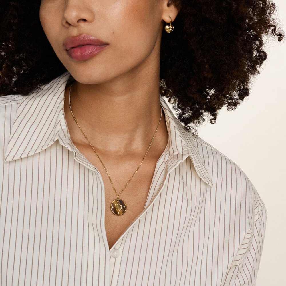 フォッシル FOSSIL Sutton アクセサリー ネックレス ペンダント おとめ座 レディース JF04843710