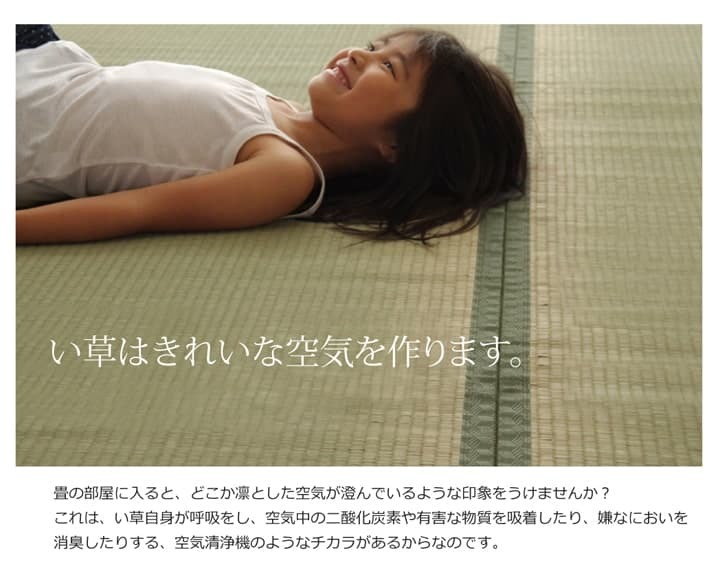 夏ラグ 夏用カーペット 純国産 い草 上敷き カーペット 双目織 『草津』 本間6畳(約286×382cm）