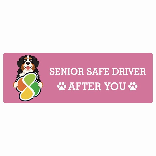 カーサイン 高齢者マーク SENIOR SAFE DRIVER バーニーズマウンテンドッグ ステッカー シール 長方形 20x6.7cm 肉球 日本製 車