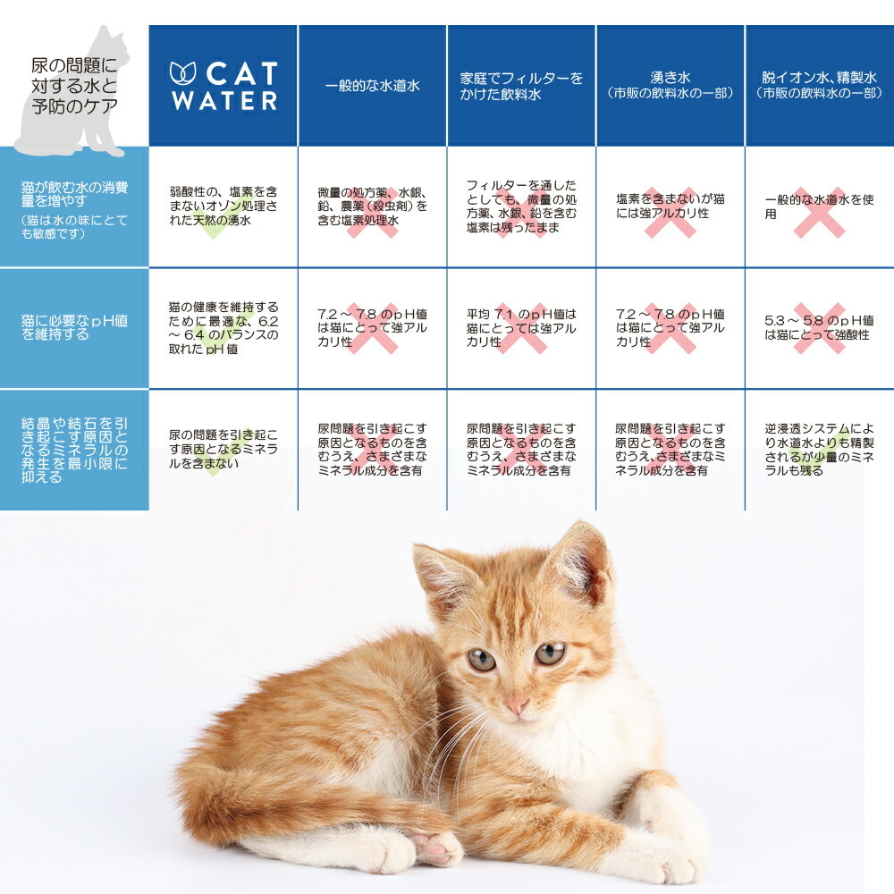 pH バランス キャット ウォーター 500ml×24本【天然水 猫水 尿路ケア 結石対策 尿ケア 水分補給】