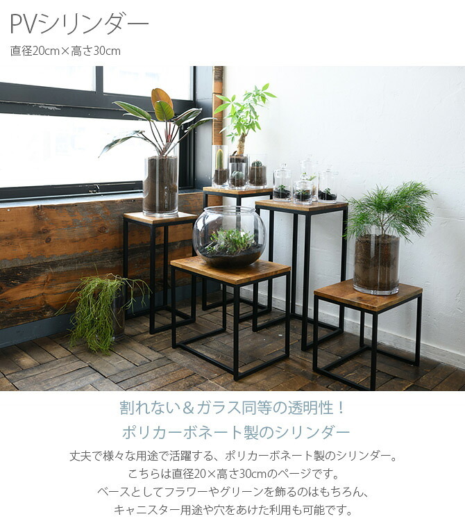 FOYER ホワイエ PVシリンダー 直径20cm×高さ30cm