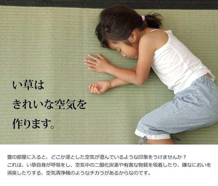 夏ラグ 夏用カーペット 純国産 い草 上敷き カーペット 麻綿織 『清正』 本間8畳(約382×382cm） 熊本県八代産イ草使用