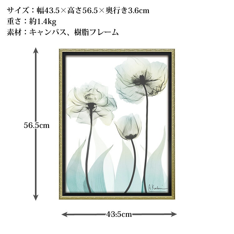 X RAY キャンバスアート ラグジュアリー クリエーション M XR-12502 送料無料 アートフレーム 花 葉っぱ 葉 X線 絵画 アート インテリア