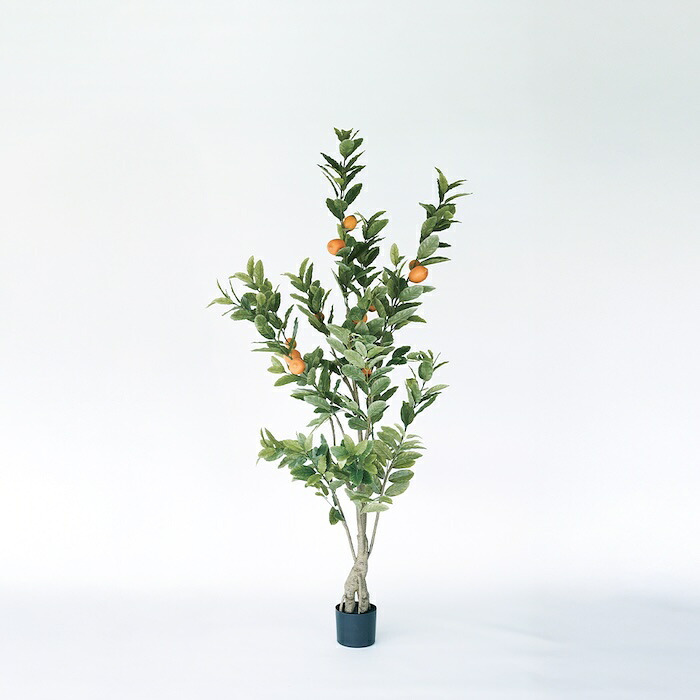 観葉植物 造花 レモンの木 BROWN 全高約183cm 大型 実付き フェイクグリーン 高級 本物そっくり リアル おしゃれ インテリア 人工観葉植物 アーティフィシャルグリーン オフィス 店舗 カフェ 開店祝い 室内 リビング 玄関 風水 果樹 檸檬