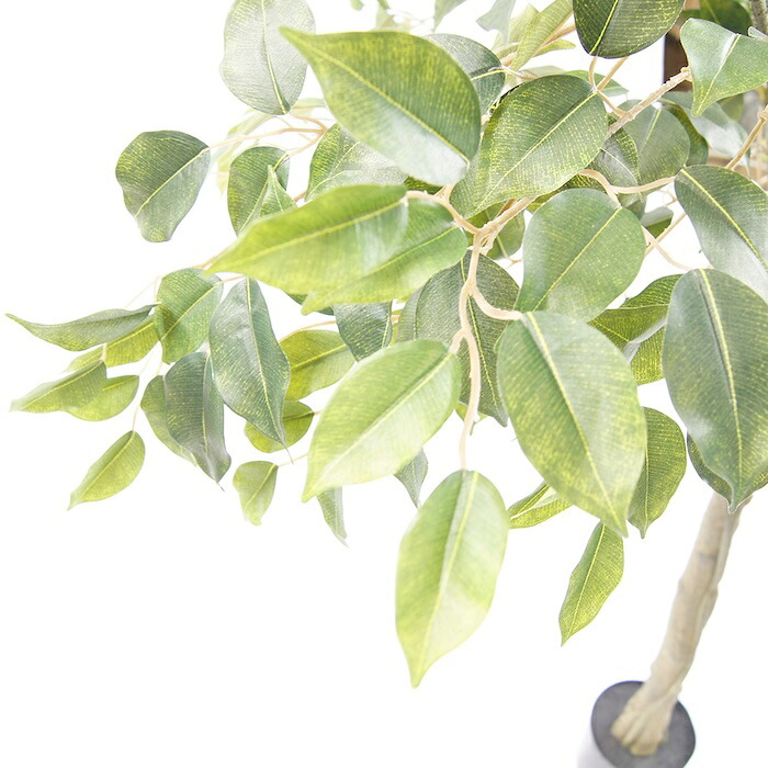 観葉植物 造花 ベンジャミン BROWN 全高約210cm 大型 フェイクグリーン 高級 本物そっくり リアル おしゃれ インテリア 人工観葉植物 アーティフィシャルグリーン 自然樹形 オフィス 店舗 ホテル 開店祝い 室内 リビング 玄関 風水 ベンジャミナ