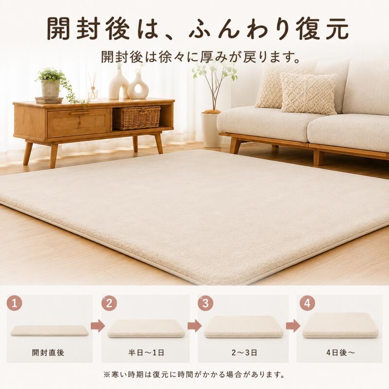 ラグ 極厚45mm ロボット掃除機対応 1.5畳 2畳 3畳 130×190 190×190 190×240cm 厚手 防音 ΔLL-8 はっ水 つまずきにくい 斜めフチ 滑り止め 床暖房対応 オールシーズン 無地 低ホルムアルデヒド ラグマット 北欧