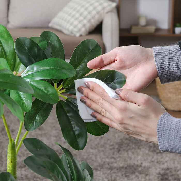 ガーデン エクステリア 観葉植物 ヤドリフカノキ ２１６ フェイクグリーン 植物 緑 グリーン 癒し 植木 インテリア ガーデニング おしゃれ カフェ リビング プランター ギフト プレゼント 贈り物 オフィス 会社 枯れない 簡単 手入れ 樹木 新生活