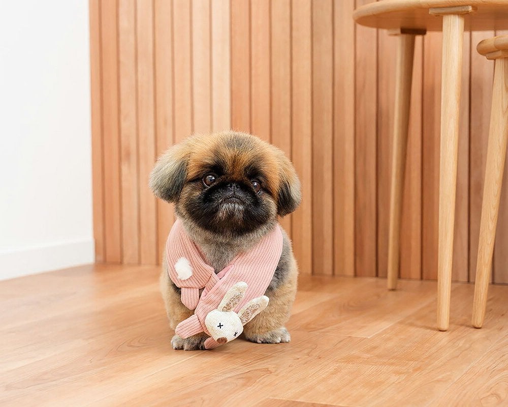 DADWAYPET ダッドウェイペット FAD ファッド ノーティードッグ・トイ マフラー ラビット 犬用おもちゃ