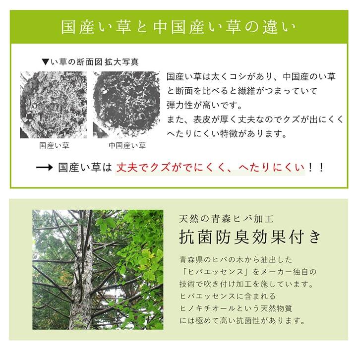 夏ラグ 夏用カーペット ラグ 純国産 国産 日本製 い草 抗菌防臭 自然素材 モダン 『DXカラフルブロック』 約191×191cm