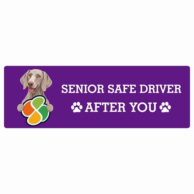 カーサイン 高齢者マーク SENIOR SAFE DRIVER ワイマラナー ステッカー シール 長方形 20x6.7cm 肉球 日本製 車