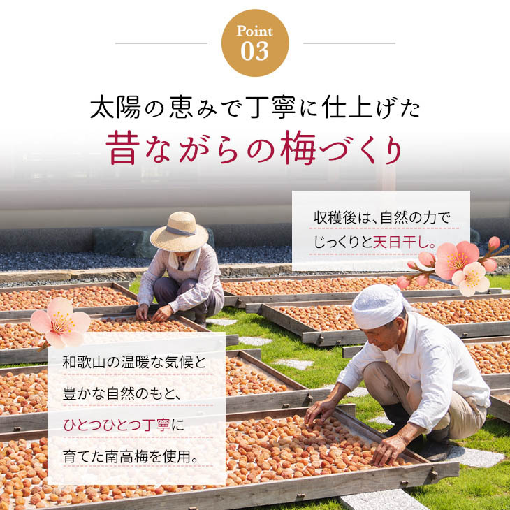 梅干し 紀州南高梅 つぶれ梅 1.7kg 850g×2パック 塩分約3% 減塩 しそ漬け 和歌山県産 赤しそ 紫蘇漬け 大粒 訳あり 紀州 お徳用 果肉たっぷり ご飯のお供 ギフト