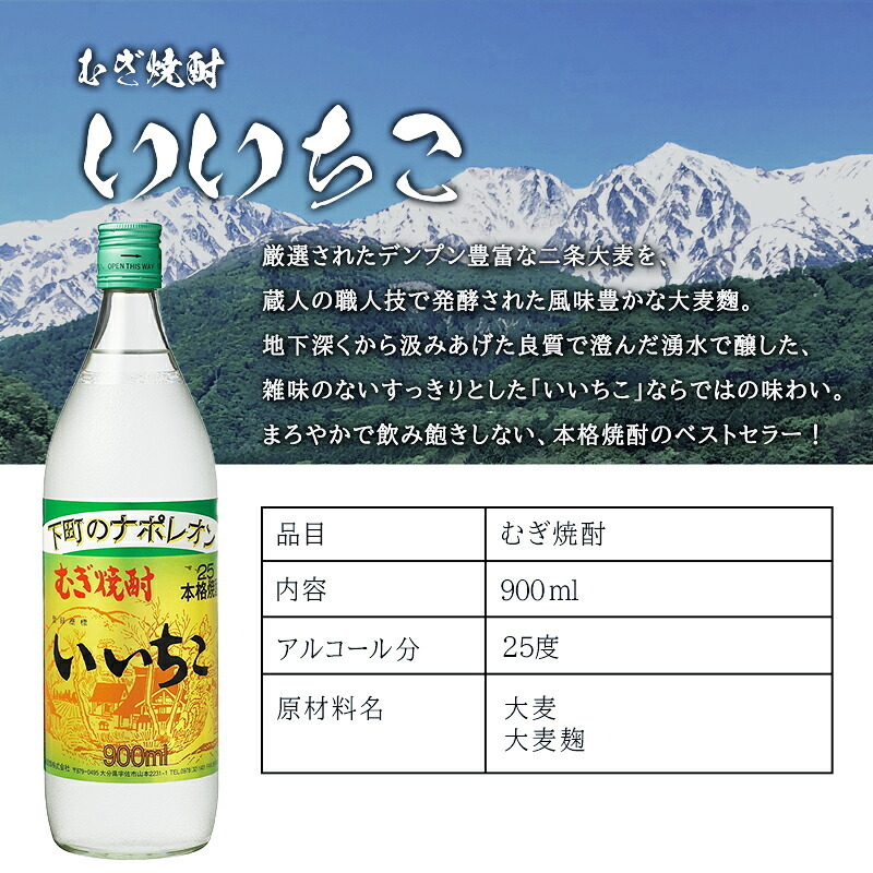 いいちこ 名入れ 麦焼酎 いいちこ 名入れ 麦焼酎 焼酎 25° お酒 オリジナル  名前入り プレゼント ギフト 面白い センス 定年退職 還暦祝い 退職祝い 男性 女性 お祝い 古希 喜寿 傘寿 米寿 卒寿 白寿 百寿 敬老の日