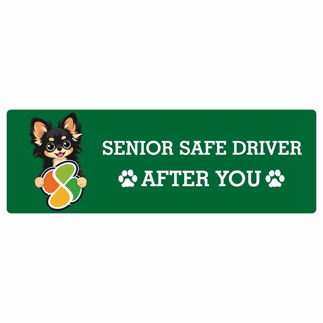 カーサイン 高齢者マーク SENIOR SAFE DRIVER ロングコートチワワ ステッカー シール 長方形 15x5cm 肉球 日本製 車