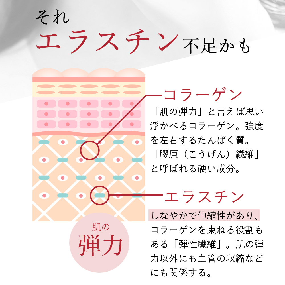 【パッケージリニューアル 2026年4月】季令（KIREI） エラスチンカプセル 100粒 高純度エラスチン 100％天然由来 コラーゲン エラスチン ヒアルロン酸 エイジングケア スキンケア キレイ 無着色 合成保存料・香料不使用 ACTLAND